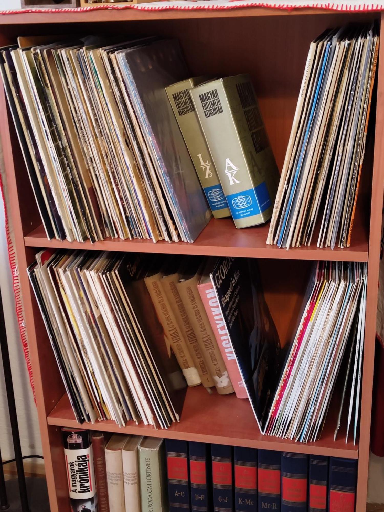 Vinyl House Pensionat Strekov Exteriör bild