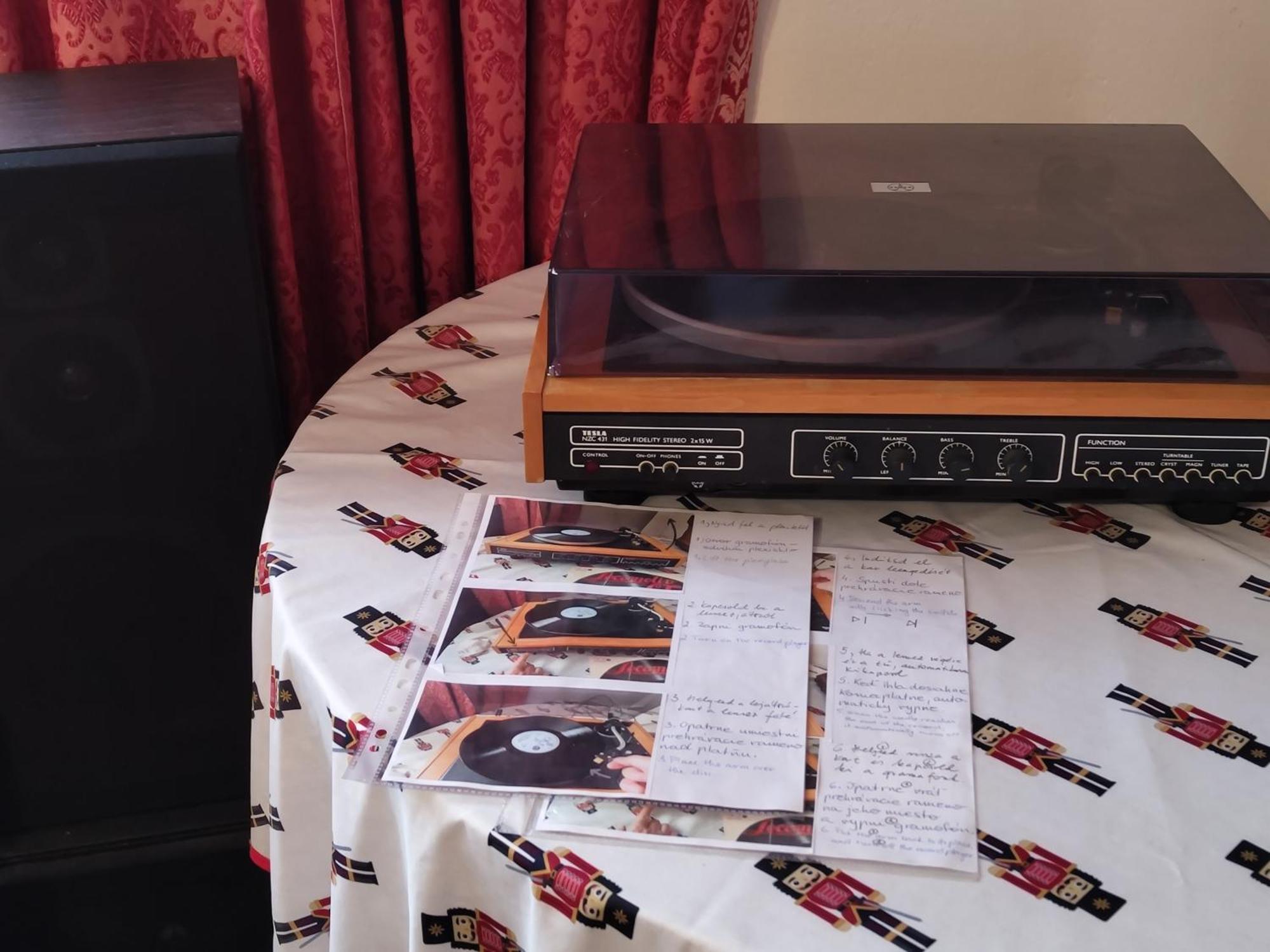 Vinyl House Pensionat Strekov Exteriör bild